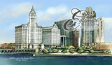 Chicago IL A View from the Chicago River
